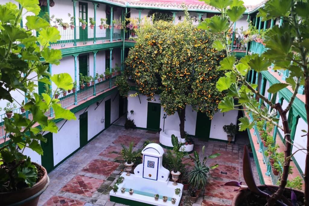 Alcazares Sevilla Centro Kültér fotó